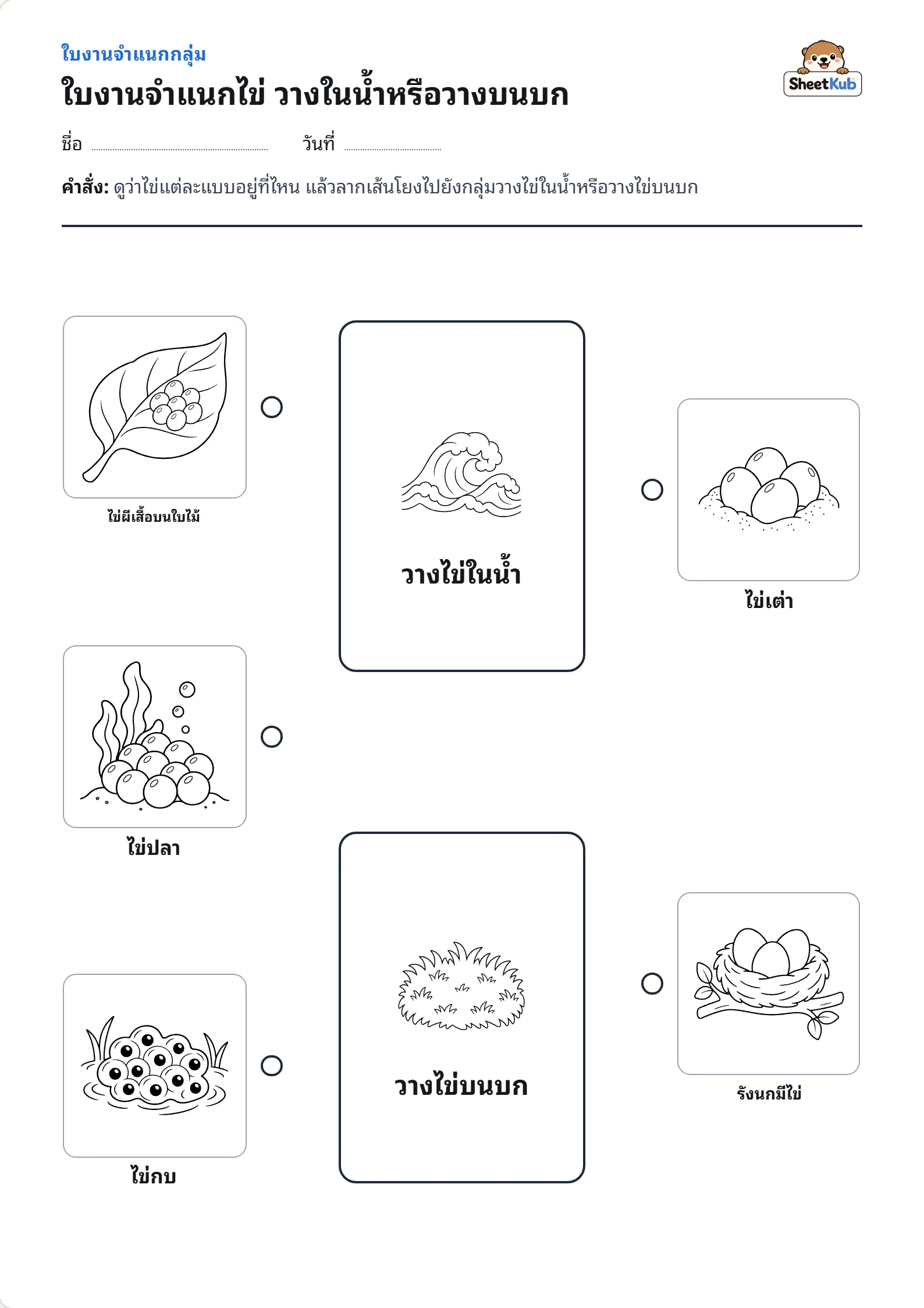 ใบงานจำแนกไข่ วางในน้ำหรือวางบนบก ตัวอย่างใบงานพิมพ์ A4 สำหรับ อ.3 ป.1